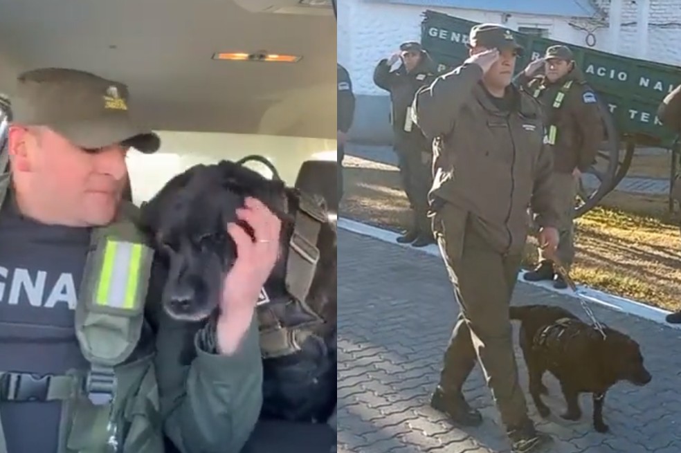 (Video) La emotiva despedida de Pequi, perrita que se jubiló tras 10 años de servicio