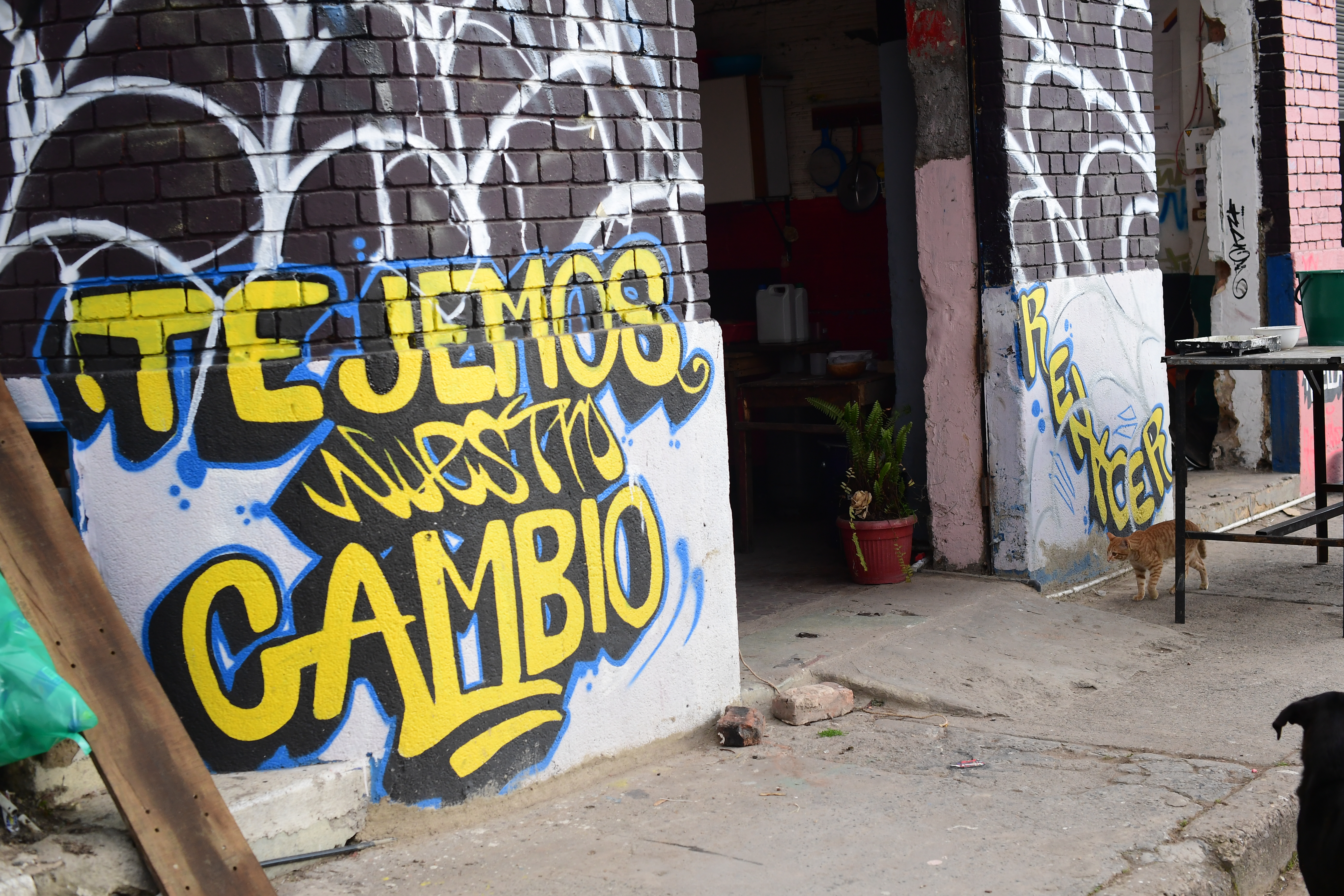 ReciclArte: la campaña para recoger plástico y transformarlo en arte en el Bronx