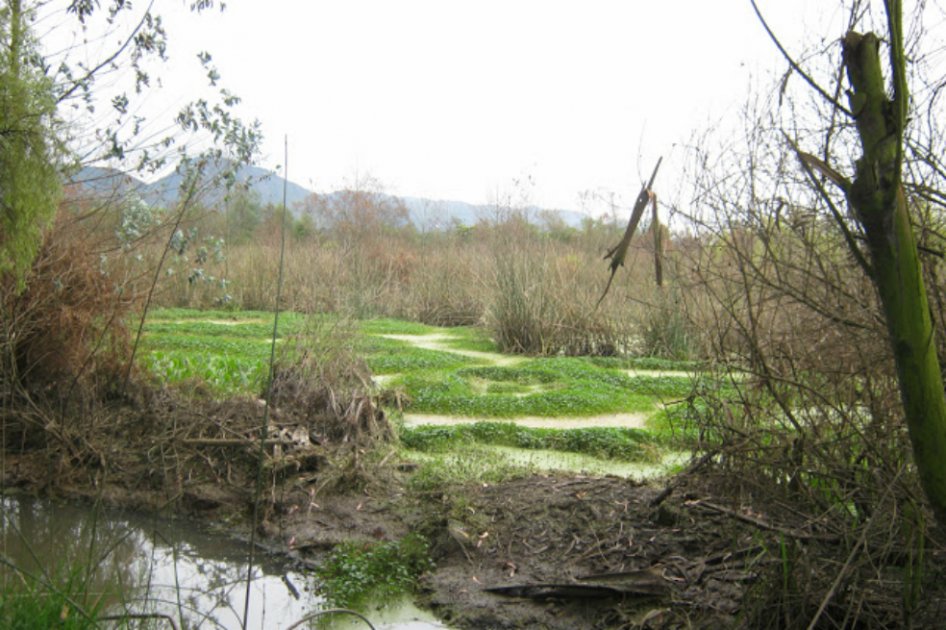 22% de los ecosistemas de Colombia está en estado crítico