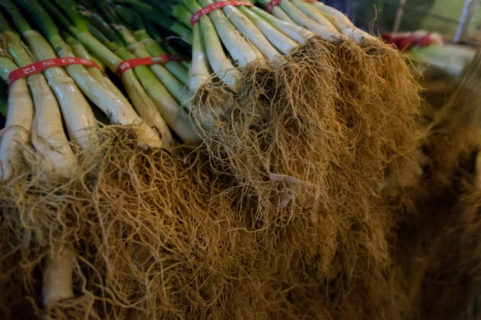 Para abaratar costos, anuncian compra masiva de insumos para el campo