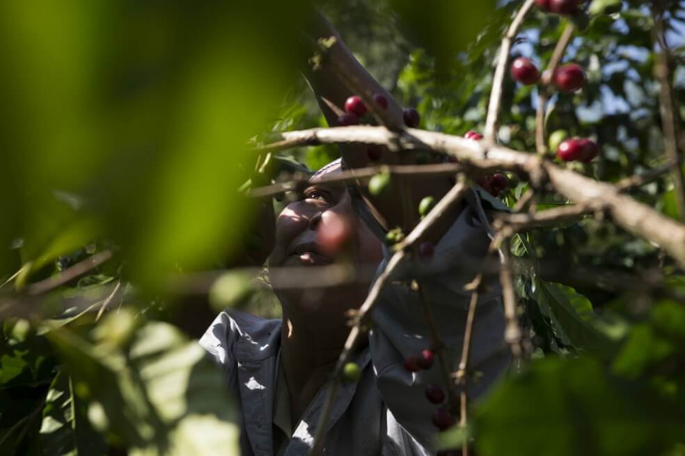 Mujeres y niñas, las más afectadas por la degradación del medio ambiente en Colombia