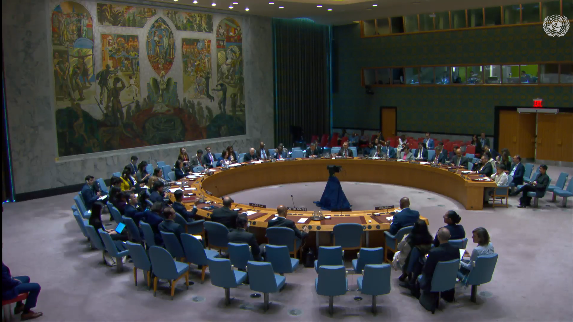 Consejo de Seguridad de la ONU rechaza ataques de la disidencia de Mordisco