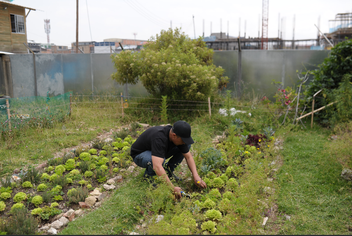Una huerta para el Bronx, en el corazón de Bogotá