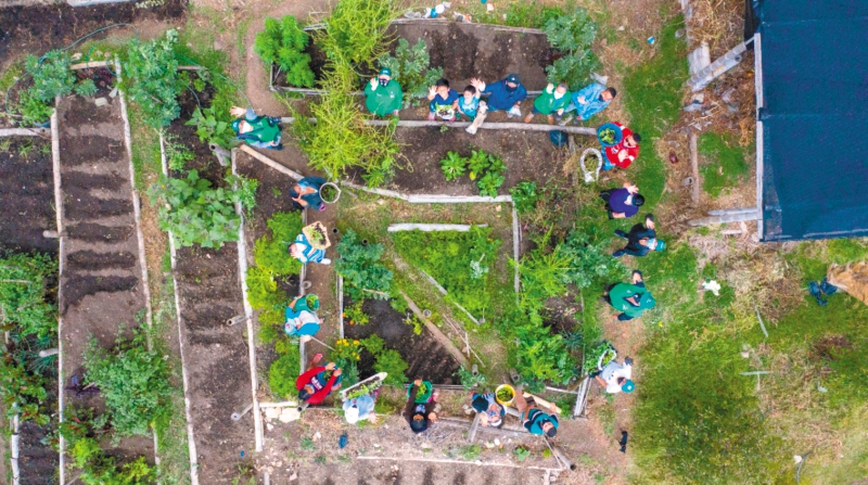 La apuesta por la agricultura sostenible en Bogotá