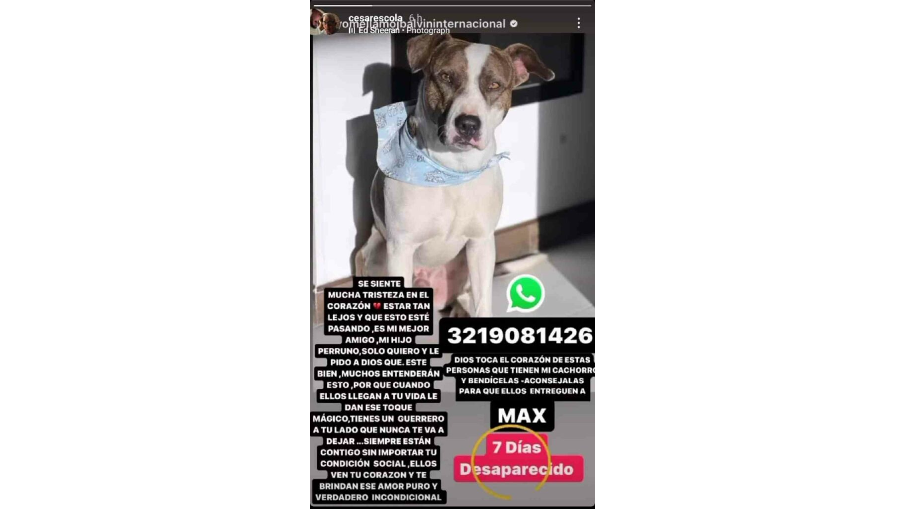 César Escola ayudó a imitador de J Balvin en Yo me llamo por duro momento que vive