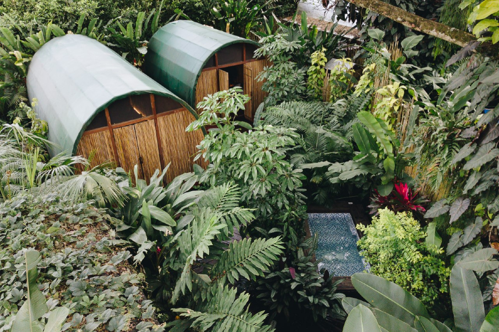 Sazagua es un hotel Boutique que surge en el corazón del Paisaje Cultural Cafetero.