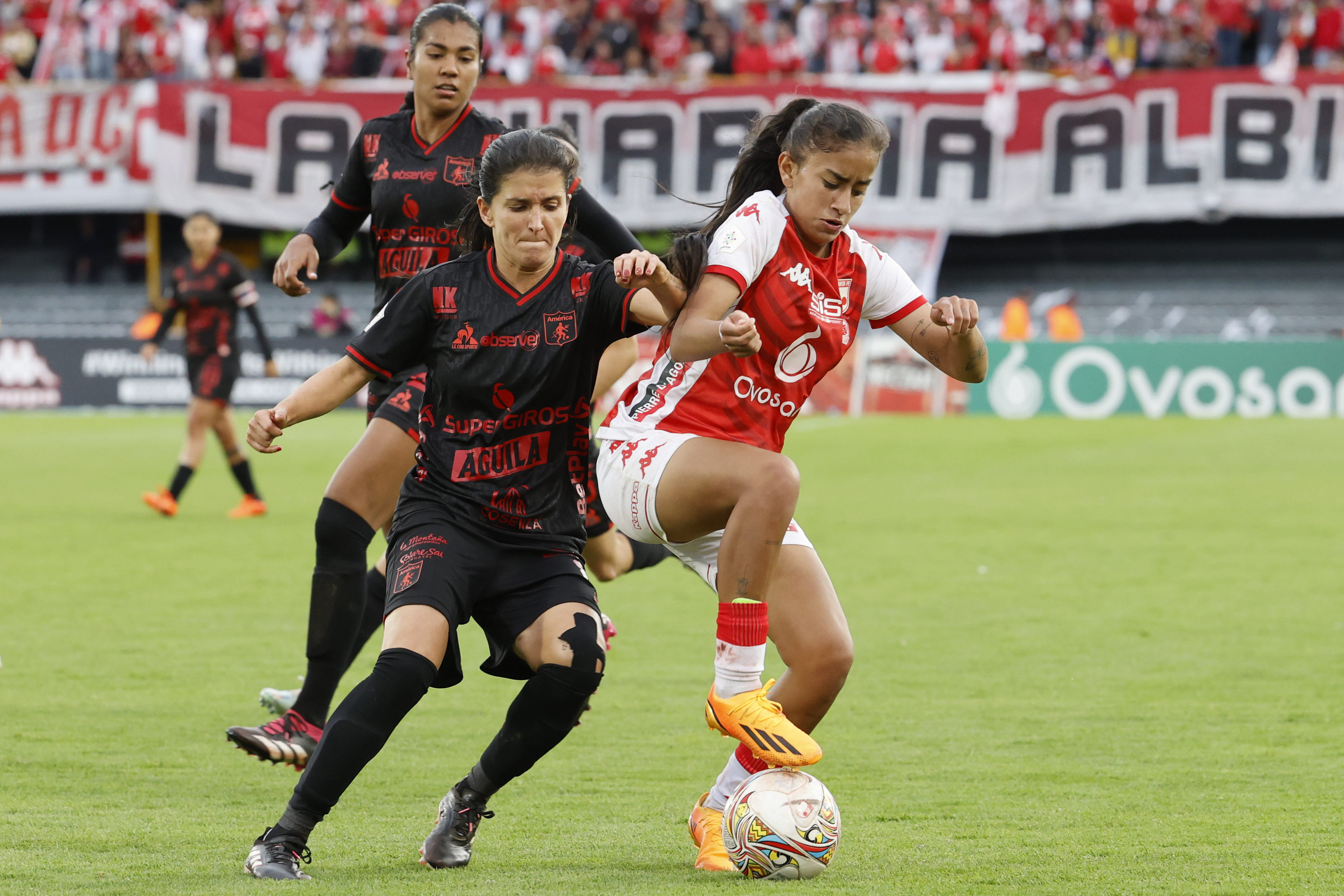Columna de Antonio Casale: Mujeres, a buscar otros horizontes