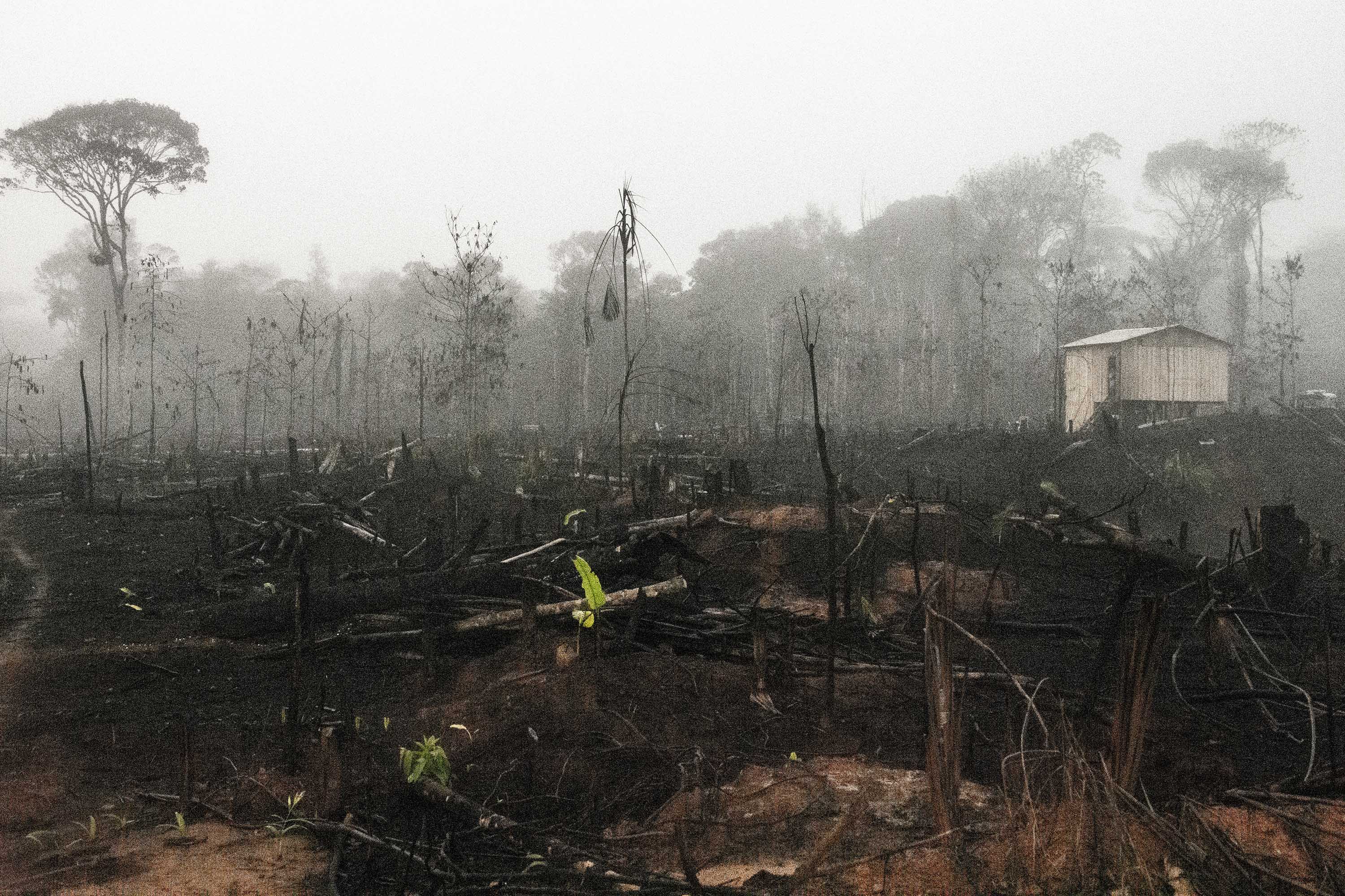 Indígenas Mura, en Brasil  y su lucha por proteger la Amazonia su territorio.