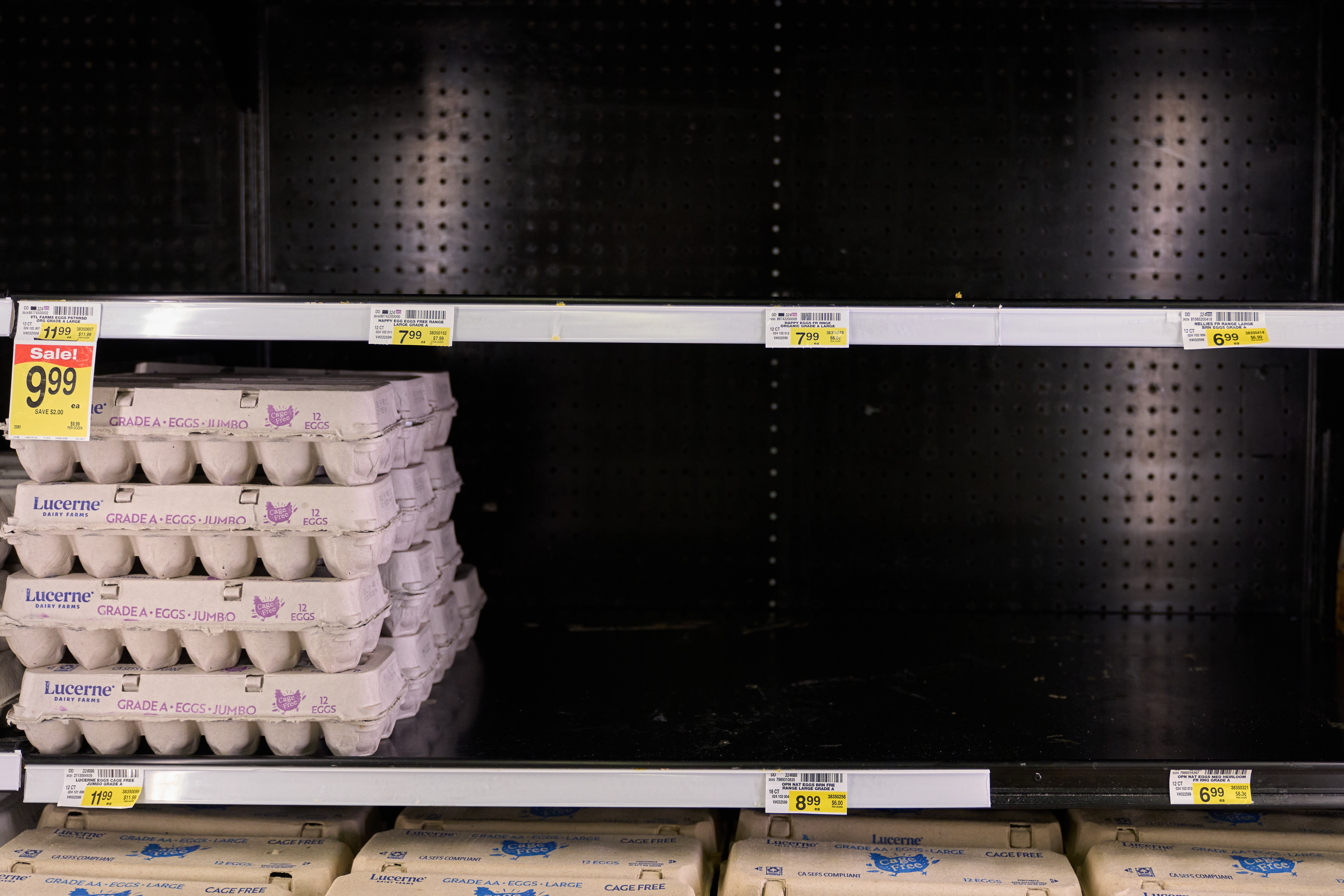 ¿Por qué hay escasez de huevos en Estados Unidos? Clientes se preguntan por ellos