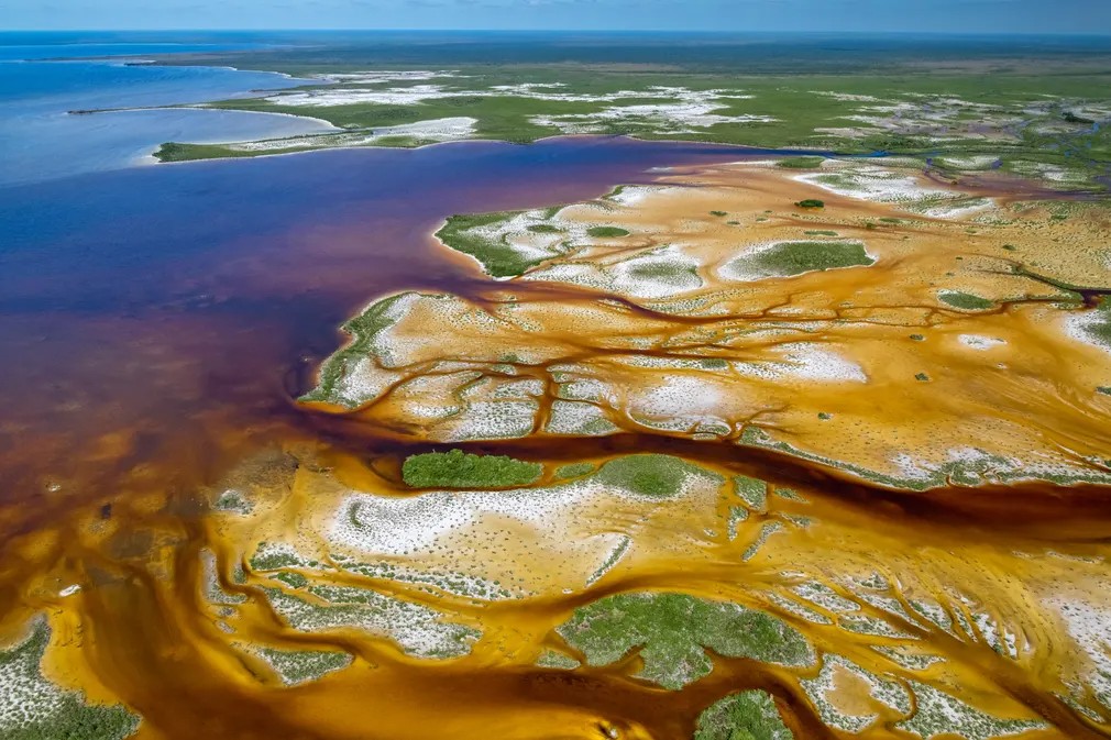 Humedal Amarillo: Lagunas costeras, islas y extensos manglares se encuentran en la Bahía de Chetumal, Quintana Roo, México.