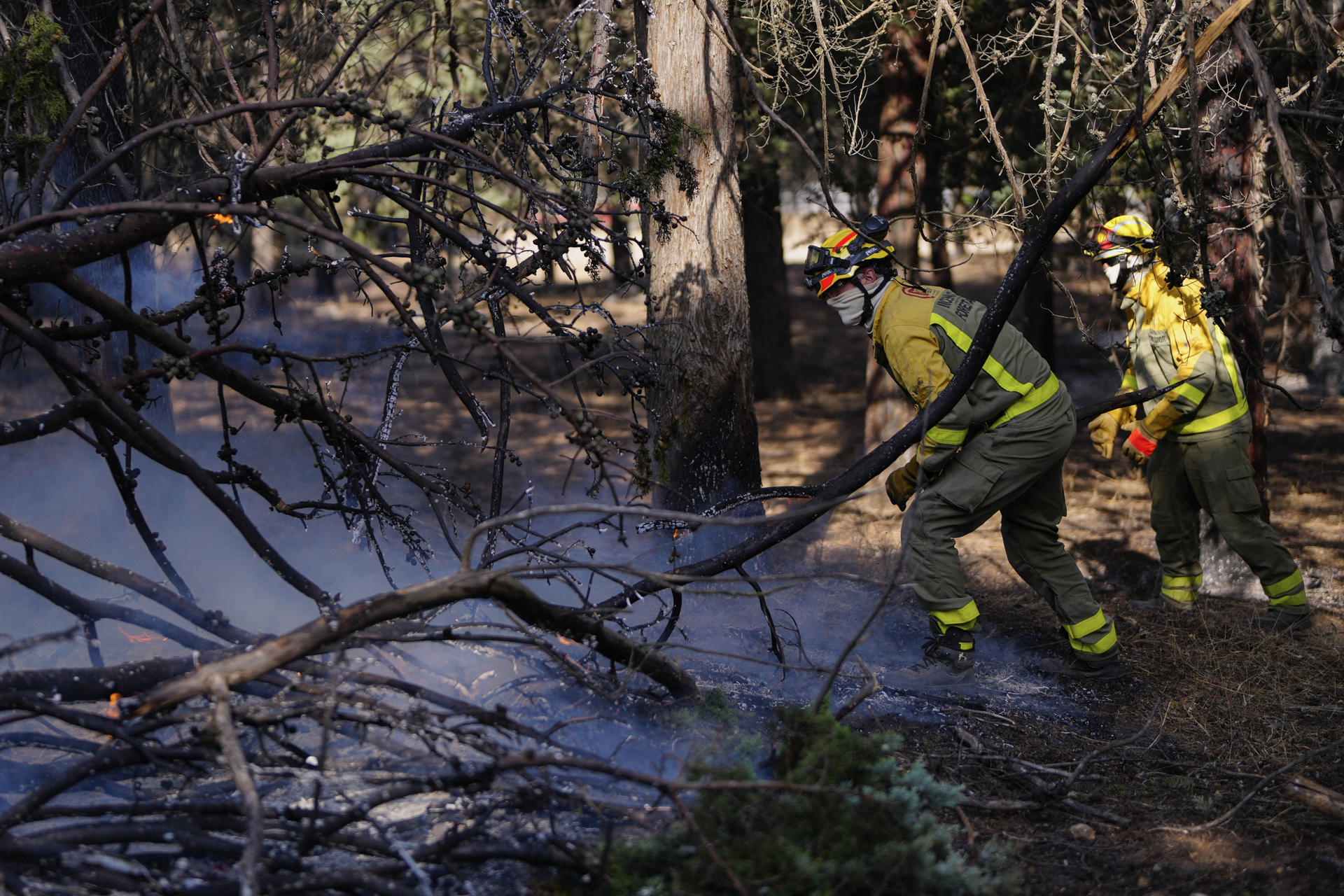 Incendios forestales han arrasado más de 250.000 hectáreas en Europa en 2026: OMM