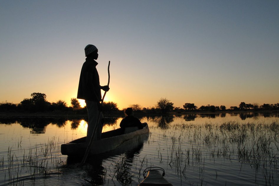 Un viaje multimedia por el ecosistema de África