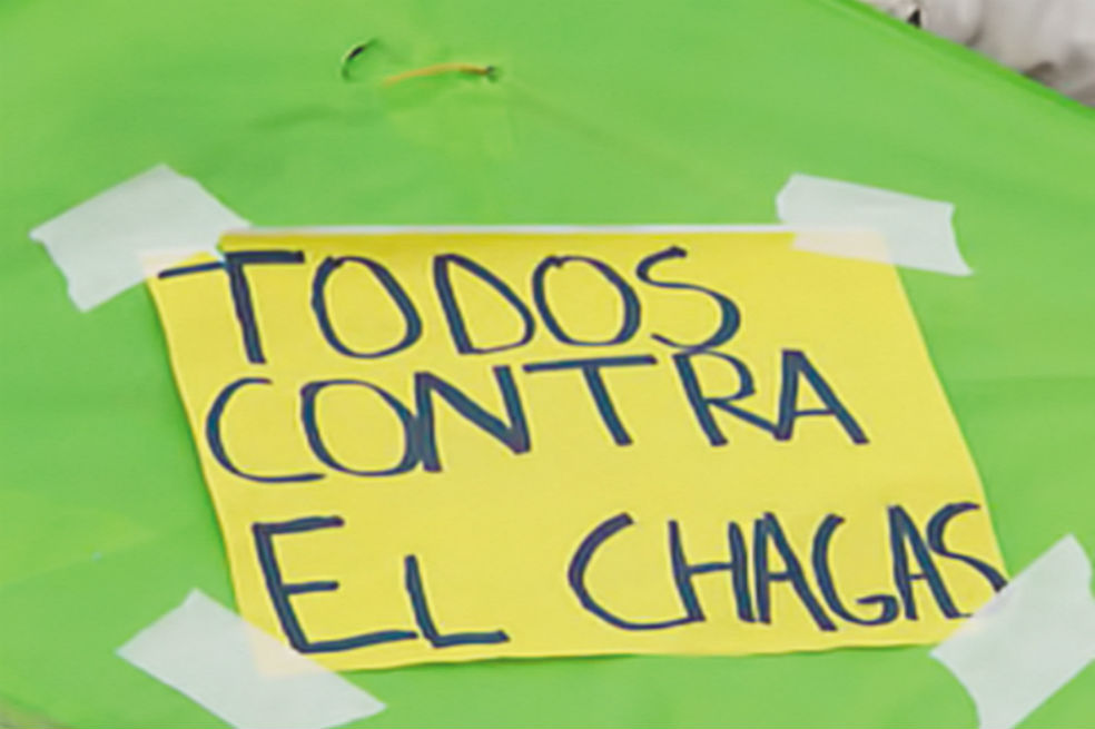 Los insectos triatomas (pitos) transmiten el parásito que provoca la enfermedad de Chagas. 