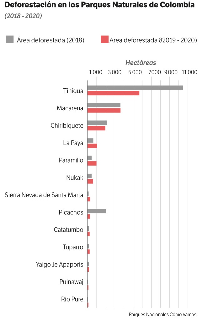 Con datos de Parques Cómo Vamos y Global Forest Watch