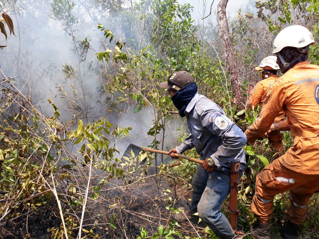 Se reactivan incendios forestales en Sierra de la Macarena