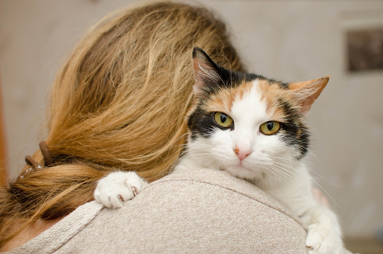Besos de gato: con esta acción su felino le demostrará que lo quiere