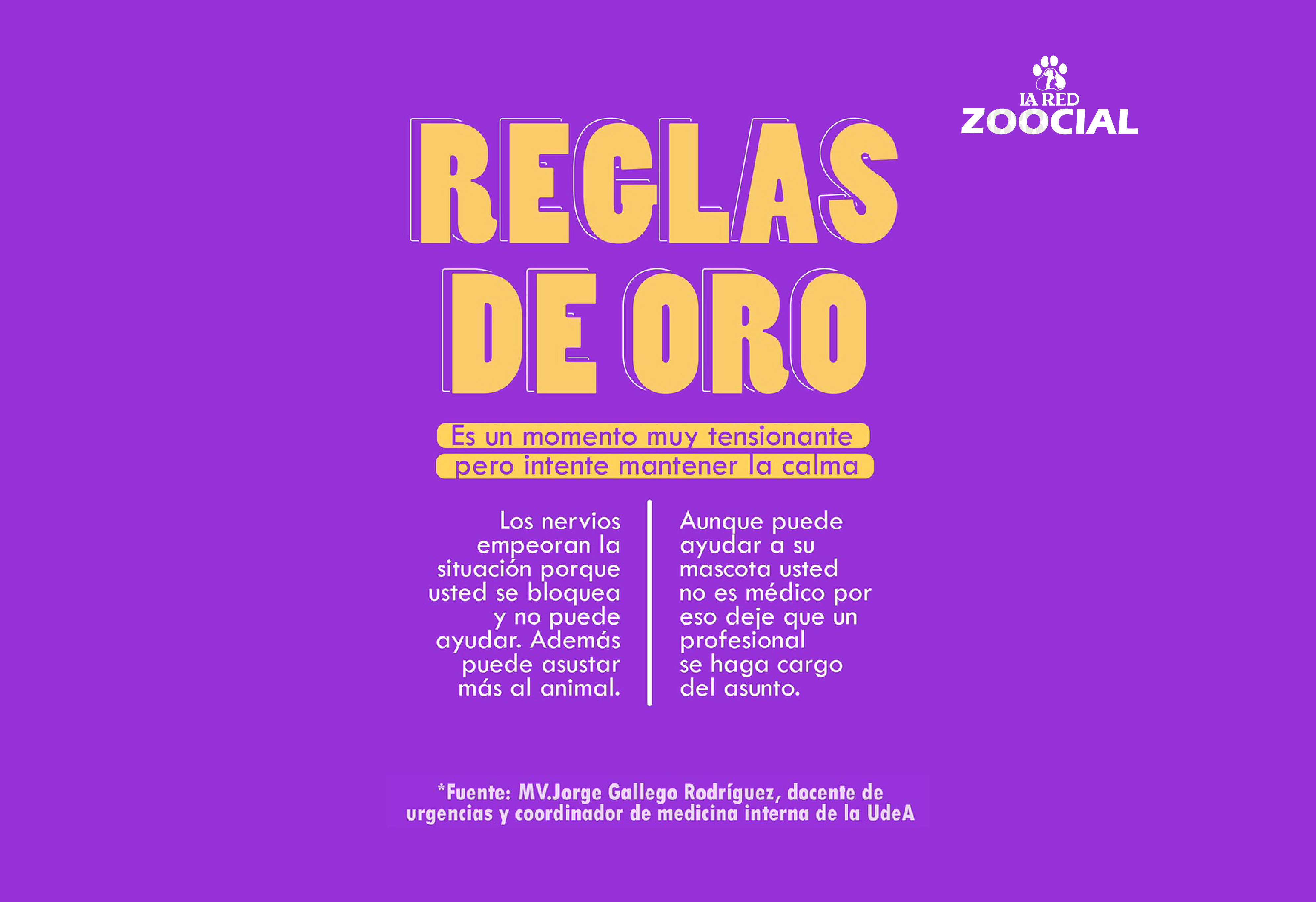 Primeros auxilios para animales
