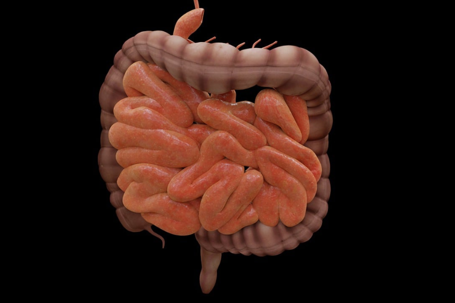 ¿Sabías que el síndrome de intestino irritable afecta al 20 % de los adultos?