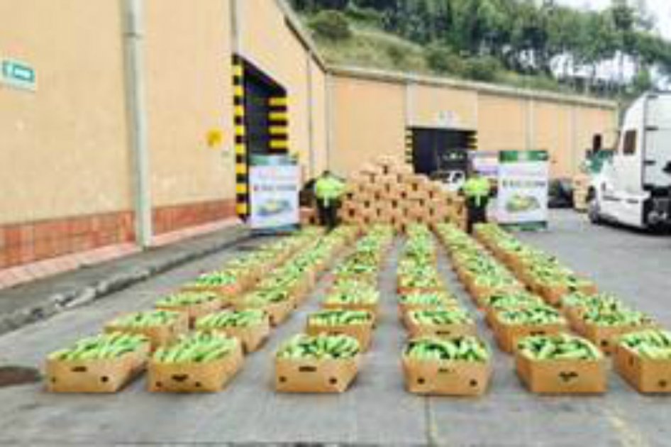 DIAN ha aprehendido contrabando por $88.059 millones en lo corrido de 2015