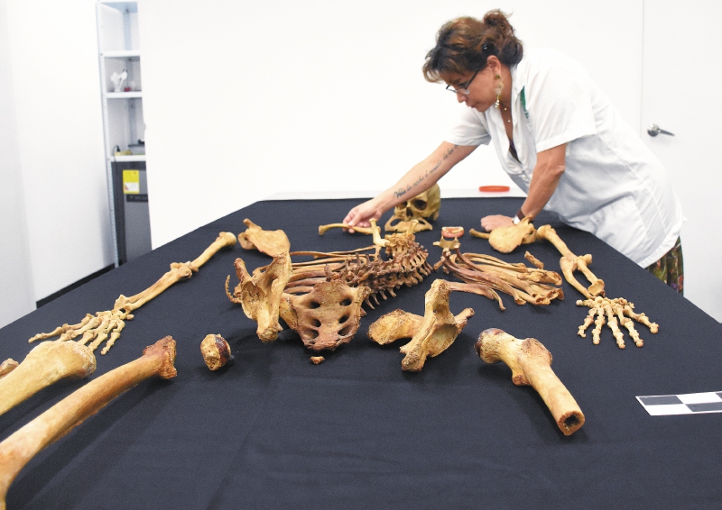 La profesora Timisay Monsalve estudiando los restos de Carrasquilla. / Juan Diego García - Cementerio Museo San Pedro y Universidad de Antioquia