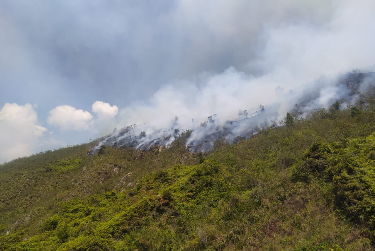 Incendios forestales en Colombia: 23 hectáreas resultaron afectadas en Santander