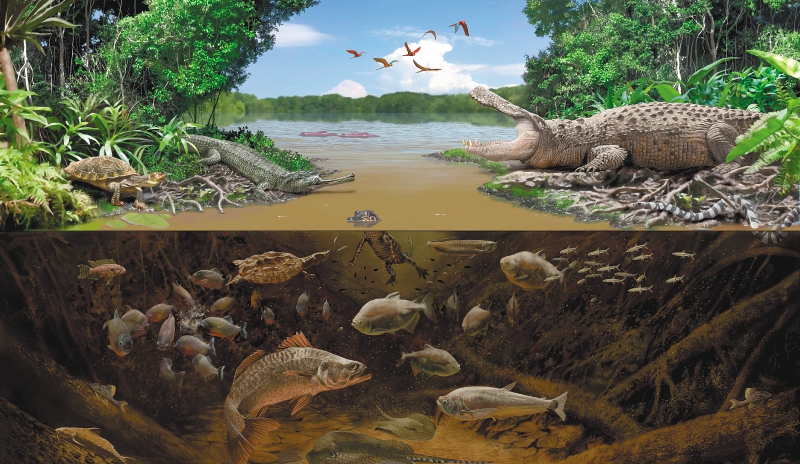 Ilustración de cómo pudo ser el ambiente en el Mioceno.  / Tomado de Carrillo-Briceño et al., 2021