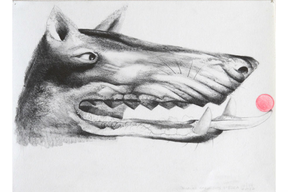 “Cabeza de perro”, de Miguel Cárdenas.