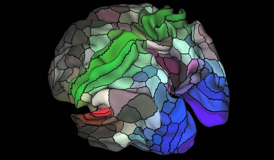 Científicos crean el mapa más detallado de nuestro cerebro