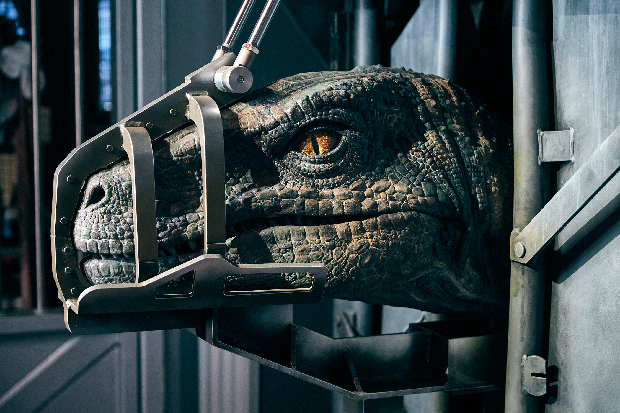 Desde el momento en que ingresan a la atracción, los visitantes se enfrentarán a los Velociraptores de las películas taquilleras de "Jurassic World" de Universal Pictures y Amblin Entertainment.