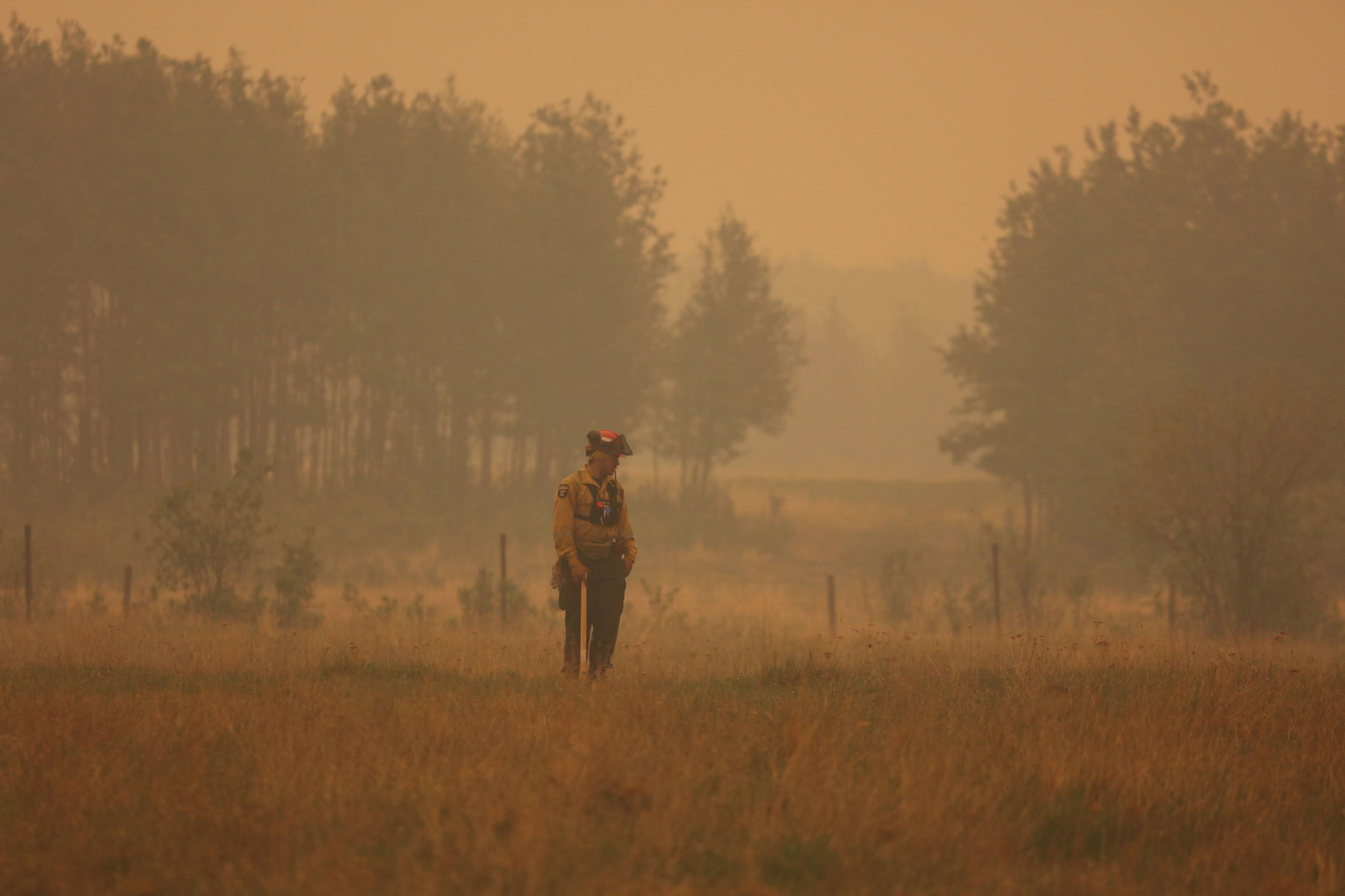 2023, un año devastador por los incendios forestales