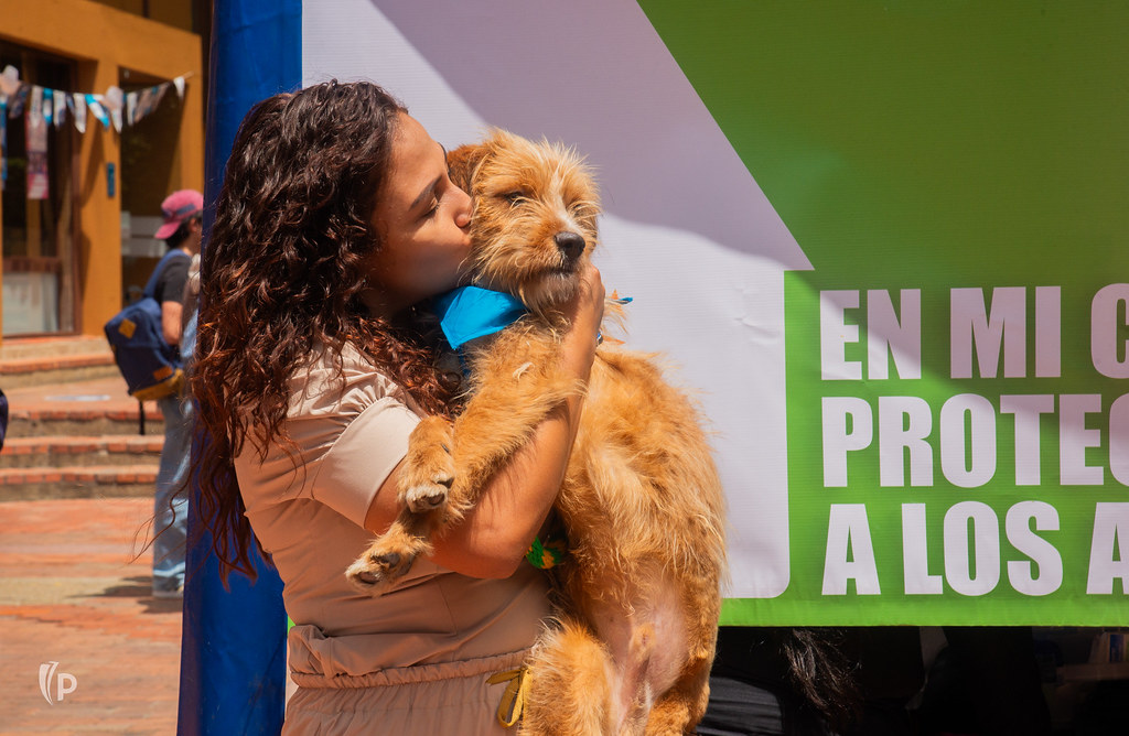 La universidad que decidió abrir sus puertas a los animales vulnerables