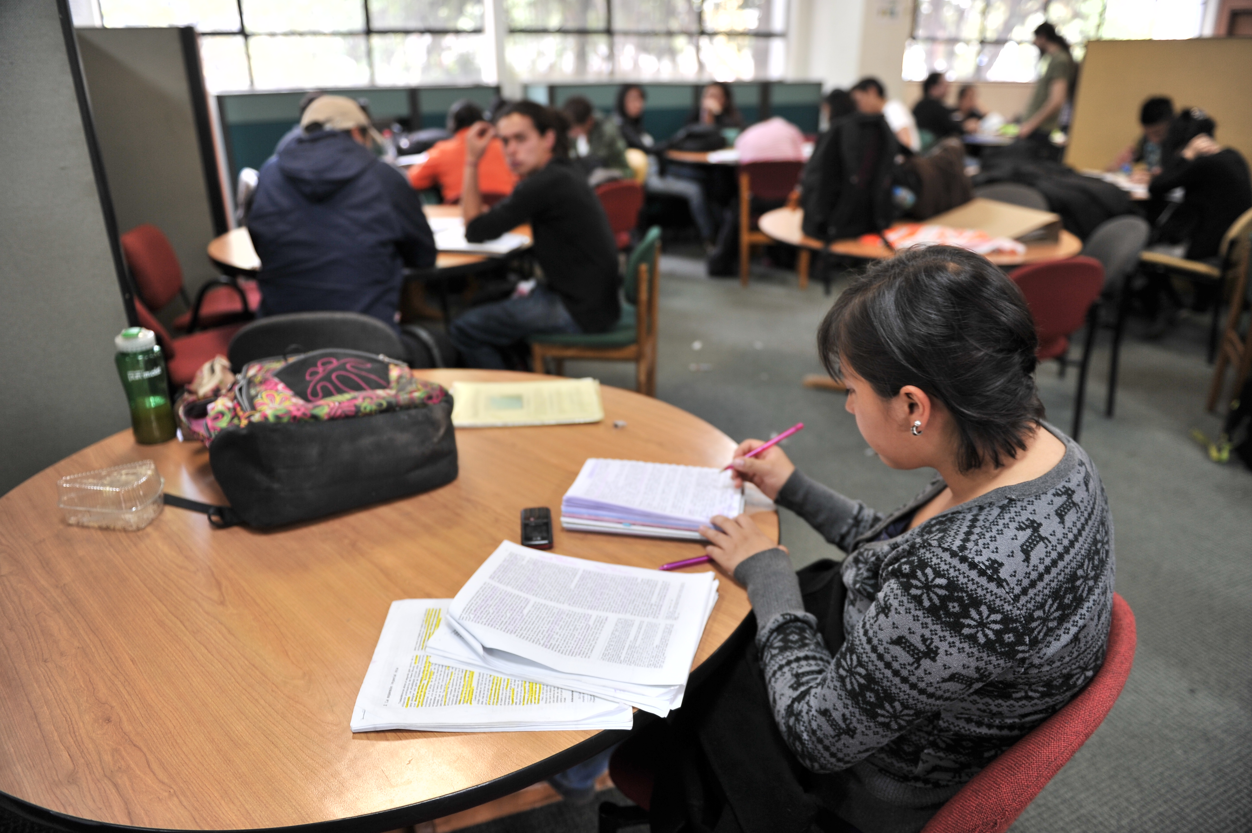 Estos son los requisitos para acceder a la gratuidad en matrículas de educación superior