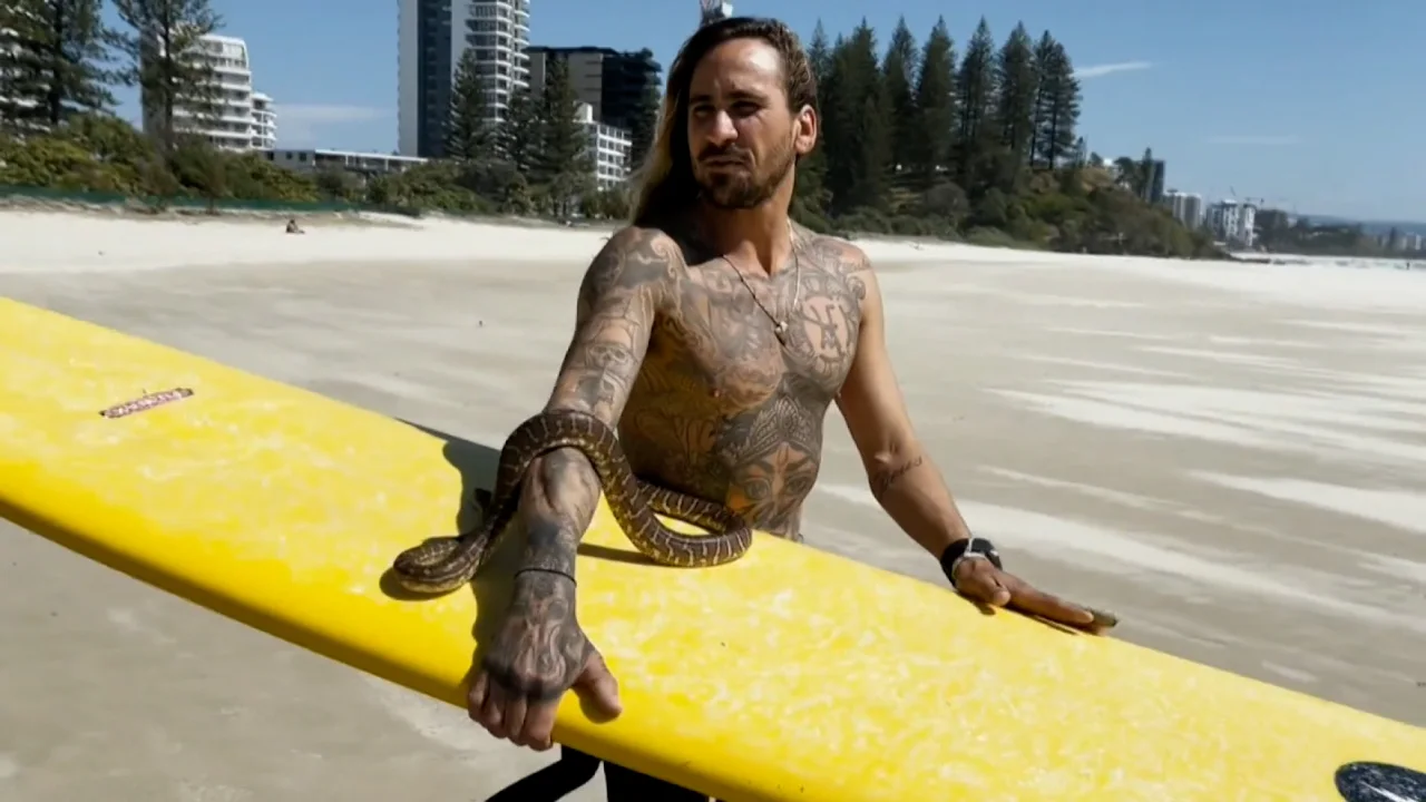 Australia: multan a hombre por surfear con una pitón enrollada en su cuello