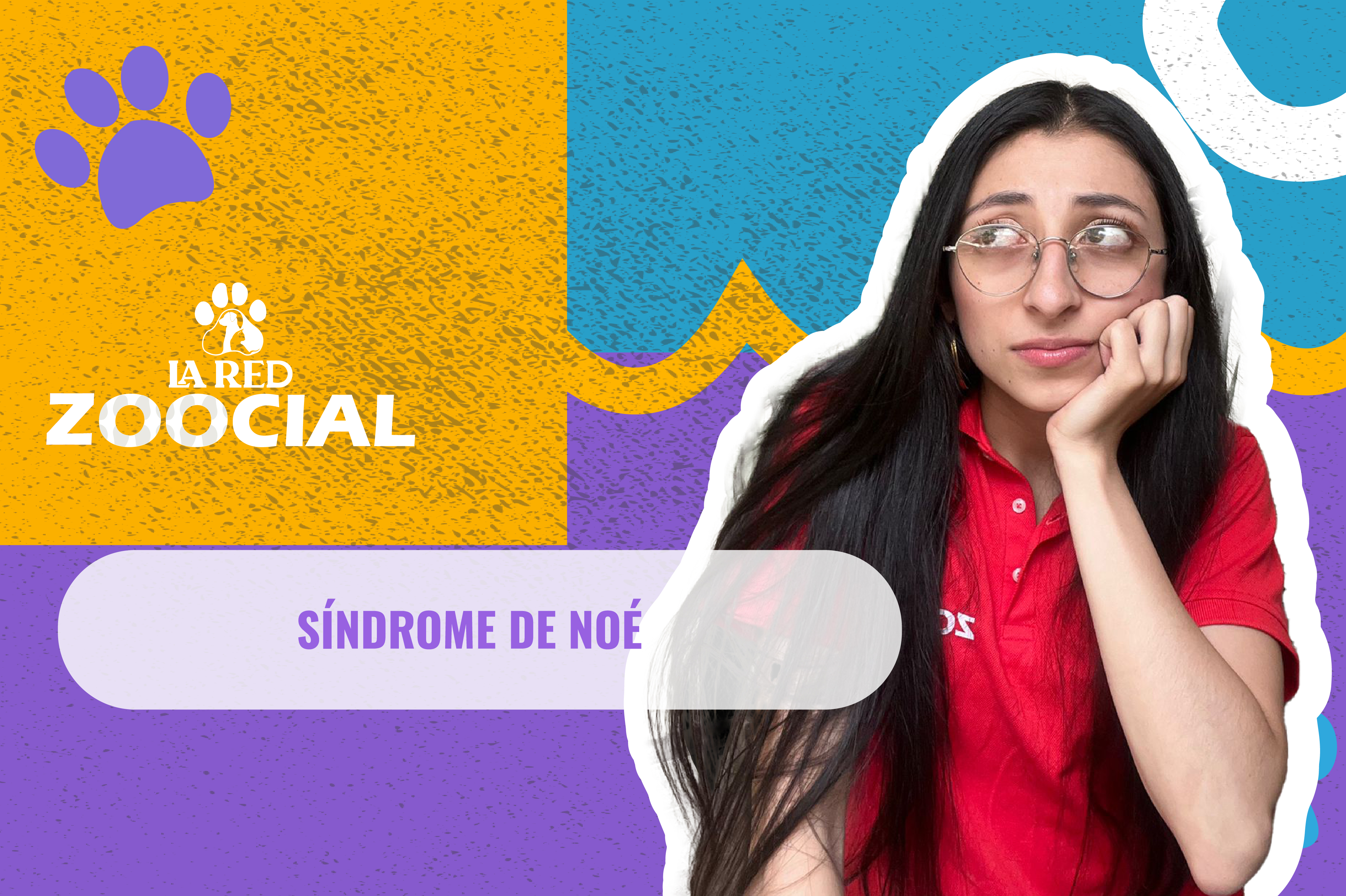 (Video) ¿Qué es el Síndrome de Noé?