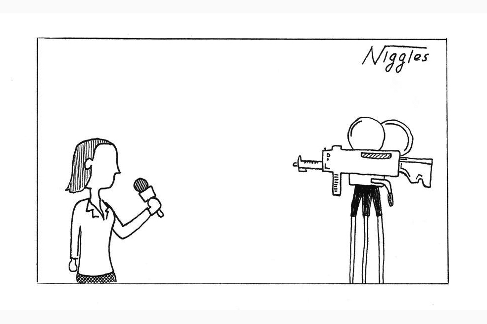 Niggles