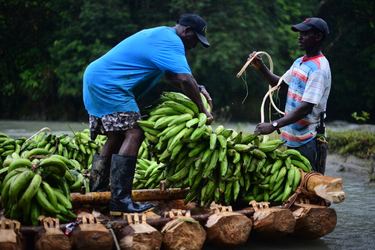 Así arriesgan su vida los campesinos que navegan por el río Tamaná en el Chocó