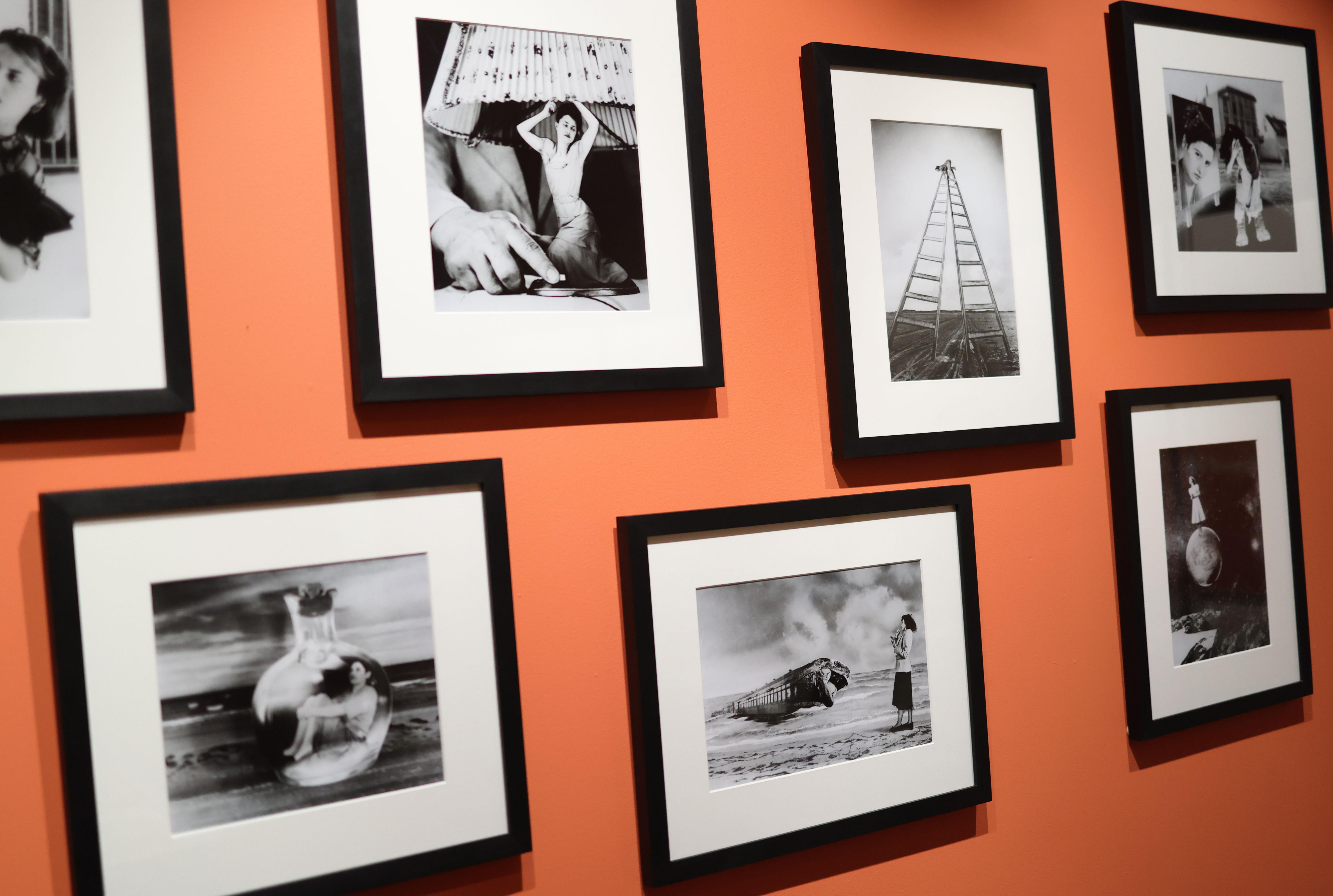 Una exposición explora el vínculo de Sigmund Freud con Latinoamérica