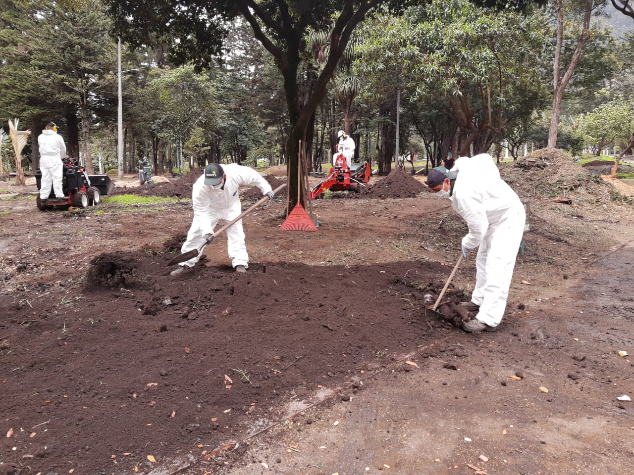 El domingo plantarán 120 árboles como parte de la recuperación del Parque Nacional