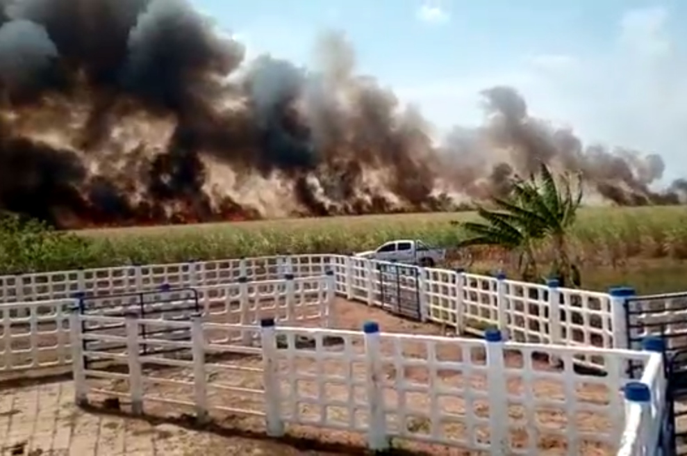 Esto es lo que se sabe sobre el incendio en Puerto López, Meta