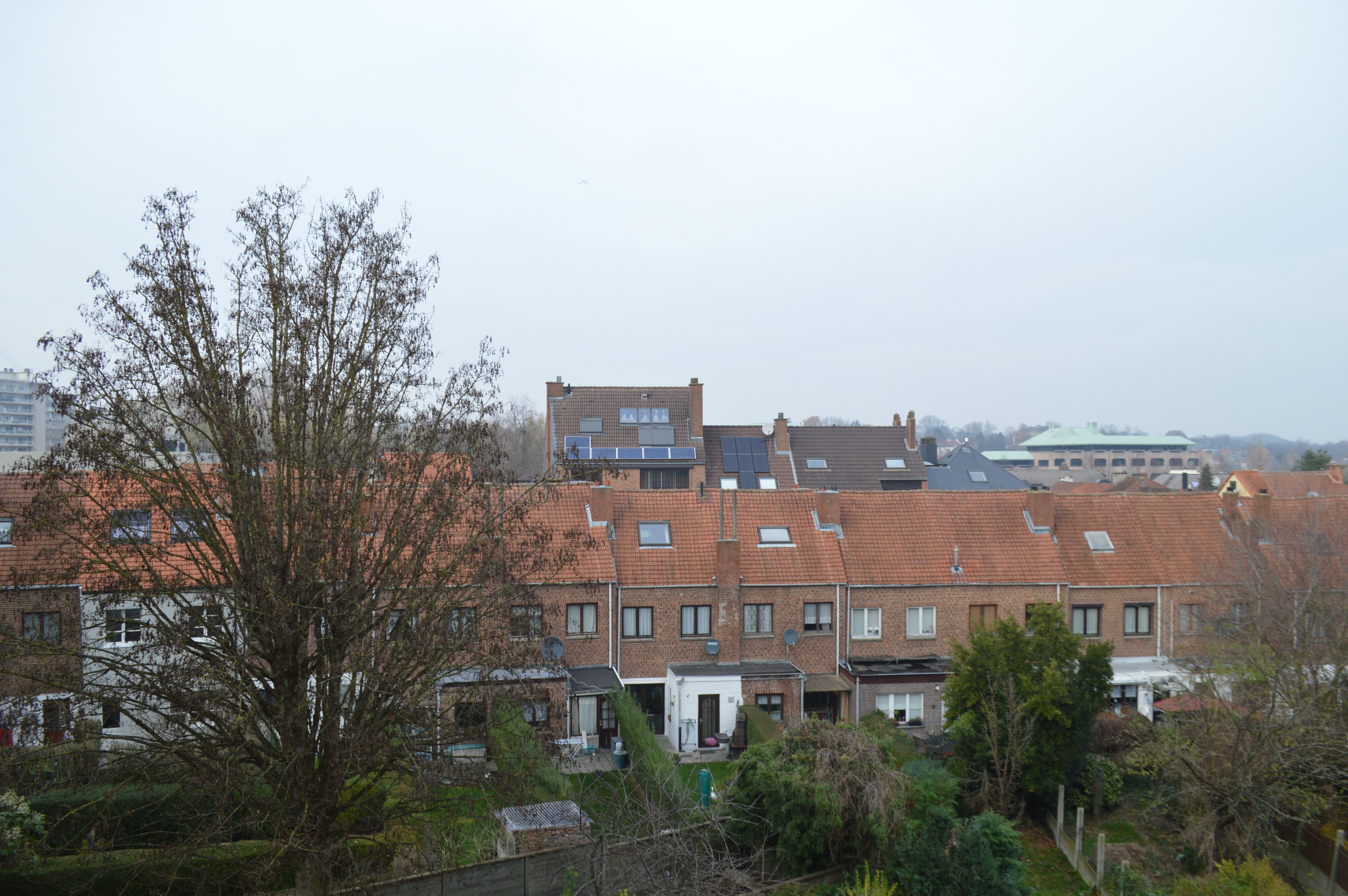 Esta es la vista de una zona residencial en Bélgica durante los 10 días de cuarentena reglamentados por el Gobierno