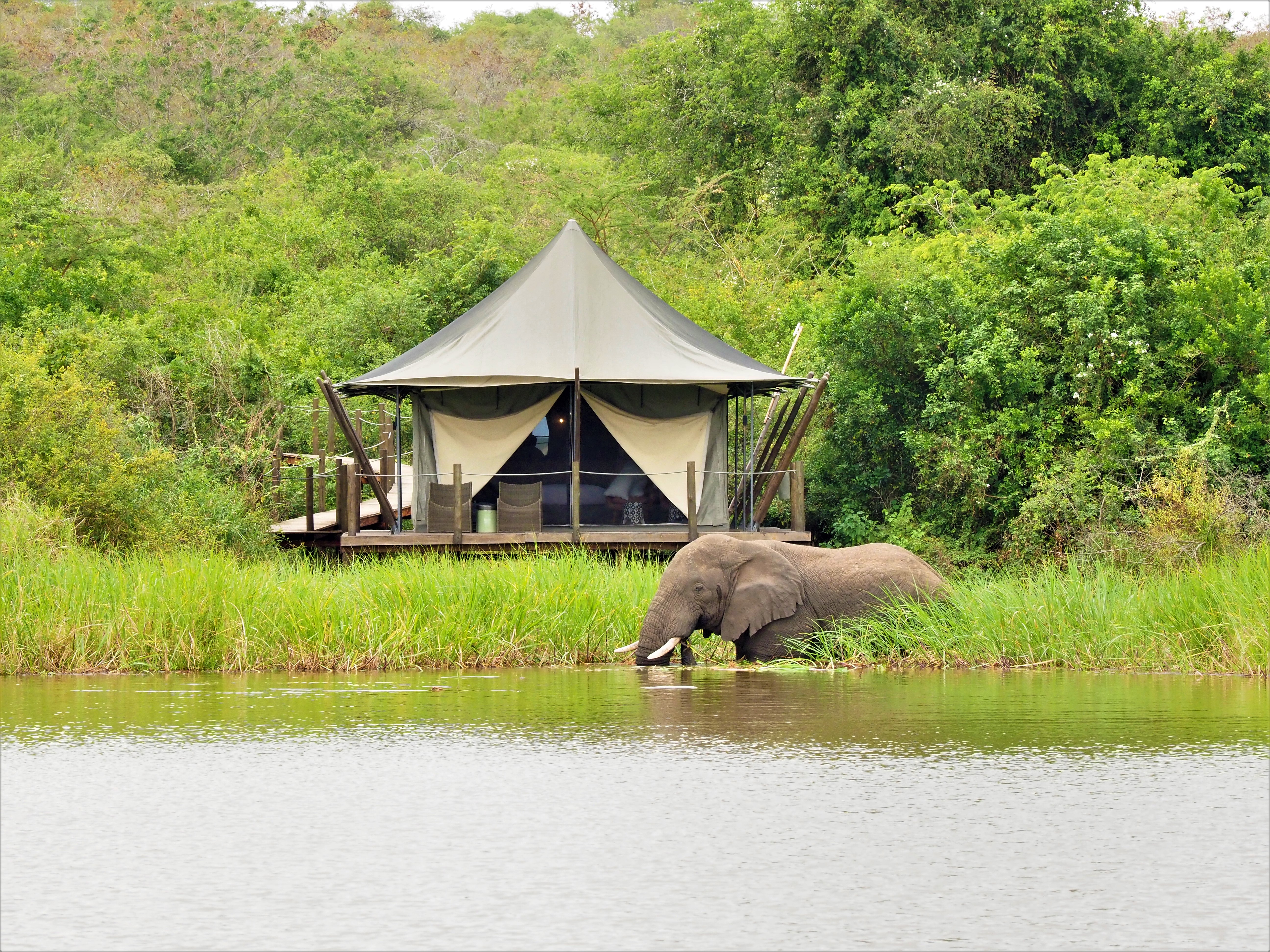 El Parque Nacional de Akagera, en Ruanda, acoge a Magashi Camp, un campamento rodeado de naturaleza pura y vida salvaje.