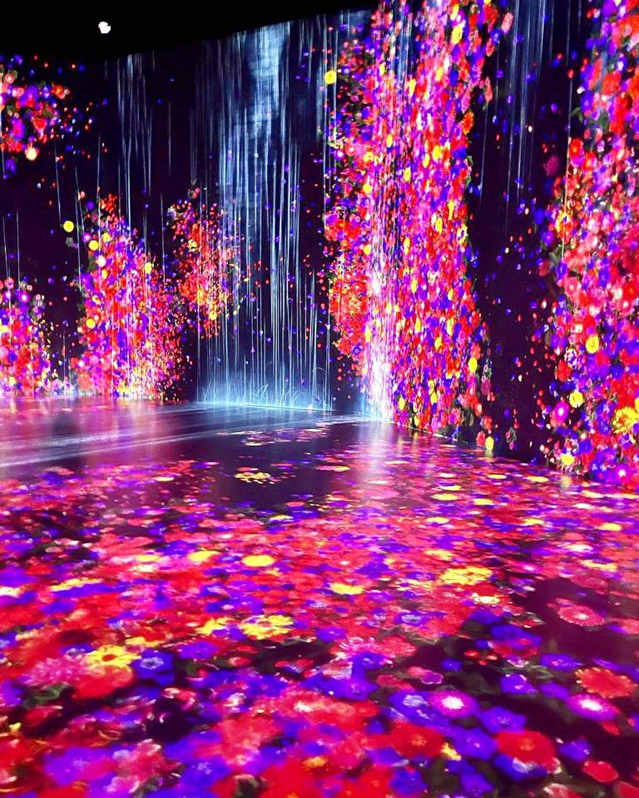 Ubicado en  Allapattah, Superblue es un nuevo museo de arte en Miami cuya apuesta está pensada en ingresar a sus visitantes dentro de la misma obra. La exposición entre los "Estados vivos y no vivos", está la creación digital de cascadas. Los visitantes hacen parte de estos mundos dinámicos.