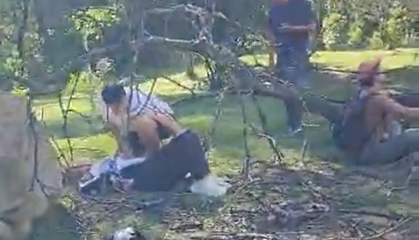 Cayó árbol de gran tamaño en la avenida Circunvalar y dejó tres heridos