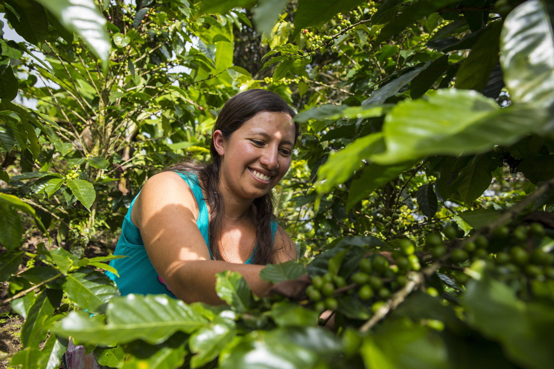 La sostenibilidad ambiental y la protección de los derechos humanos están íntimamente ligados a la protección ambiental de la biodiversidad en Colombia