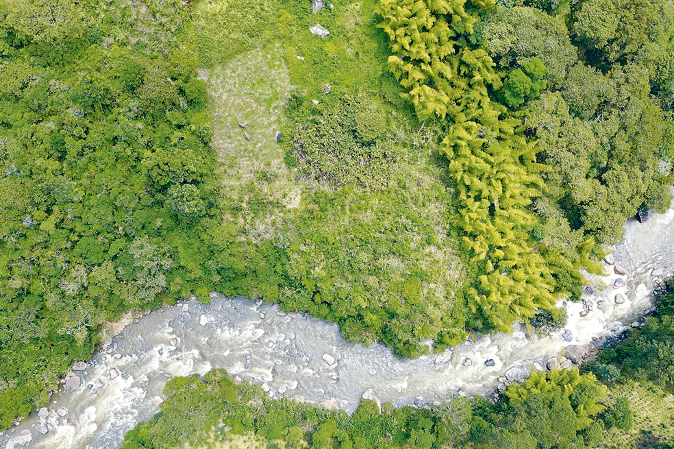 Los ríos como fuente de derecho en Karmata Rúa y la memoria del agua en clave de amistad