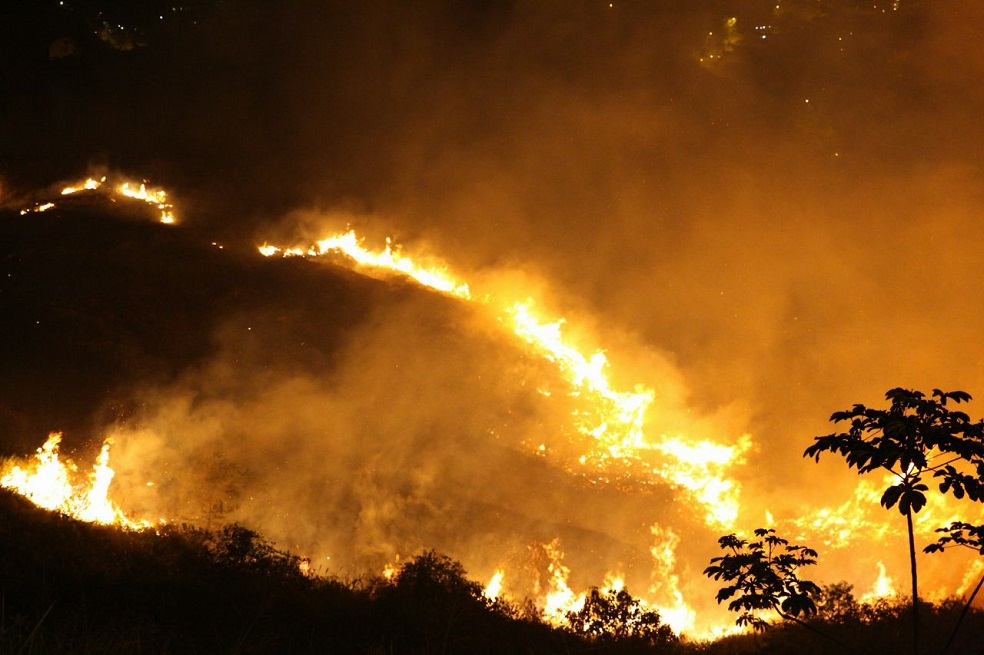 Incendio forestal consume el cerro de Cristo Rey en Cali