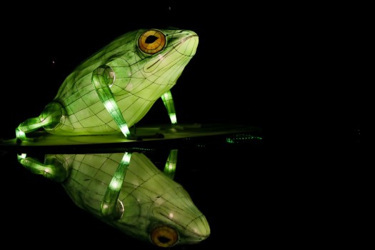 Llega MajestuOSOS, el festival de esculturas gigantes iluminadas del Jardín Botánico