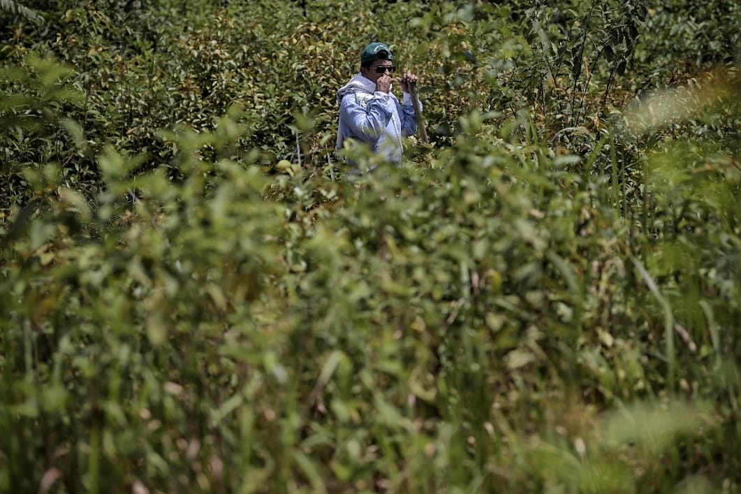 Entre la selva y la humedad siguen buscando a los desaparecidos en Meta y Guaviare