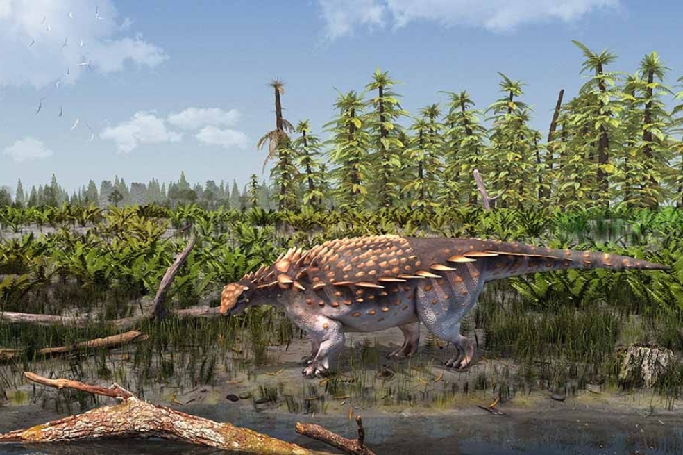 Identifican una nueva especie de dinosaurio
