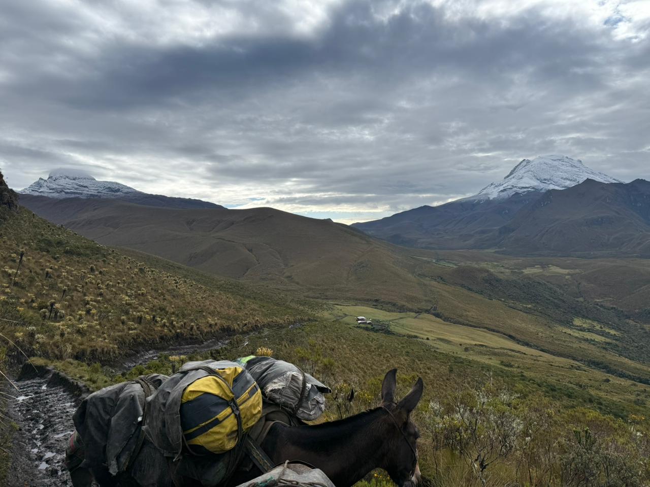 A la izquierda el Paramillo del Quindío y a la derecha el Nevado del Tolima. La foto fue tomada el 8 agosto por Germán Liberato.